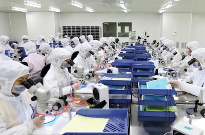 廈門(mén) 7萬(wàn)崗位面朝大海，有色金屬壓延加工行業(yè)誠(chéng)邀英才